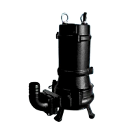 CNP รุ่น 300WQ800-20-75