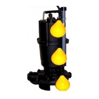 EBARA รุ่น 80DVSJ52.2