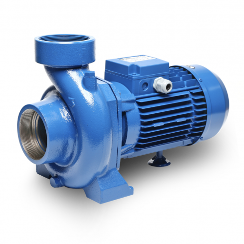 EBARA รุ่น CMD-2.00T
