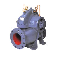 EBARA รุ่น 100 x 80 CSHA-G