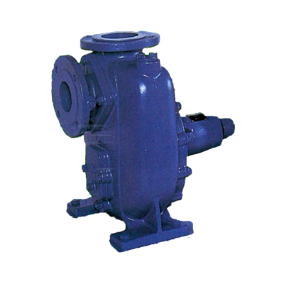 EBARA รุ่น 65 SQG