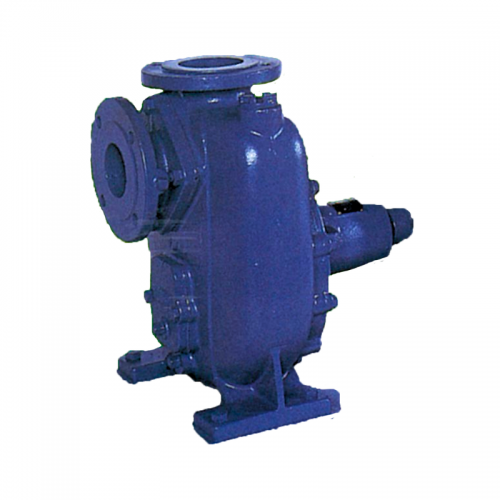 EBARA รุ่น 100 SQF